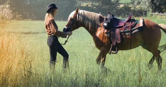 The 3 reasons why you need ice packs to resolve your horse’s knee joint problems