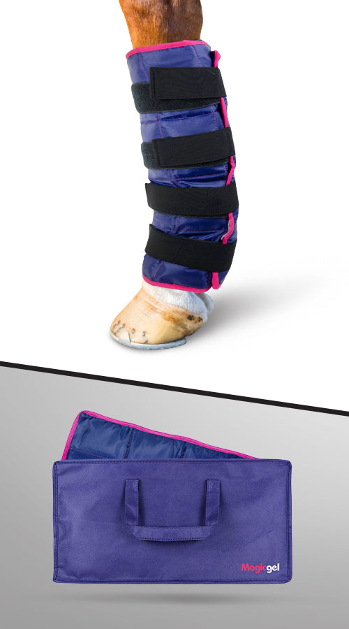 Horse Ice pack