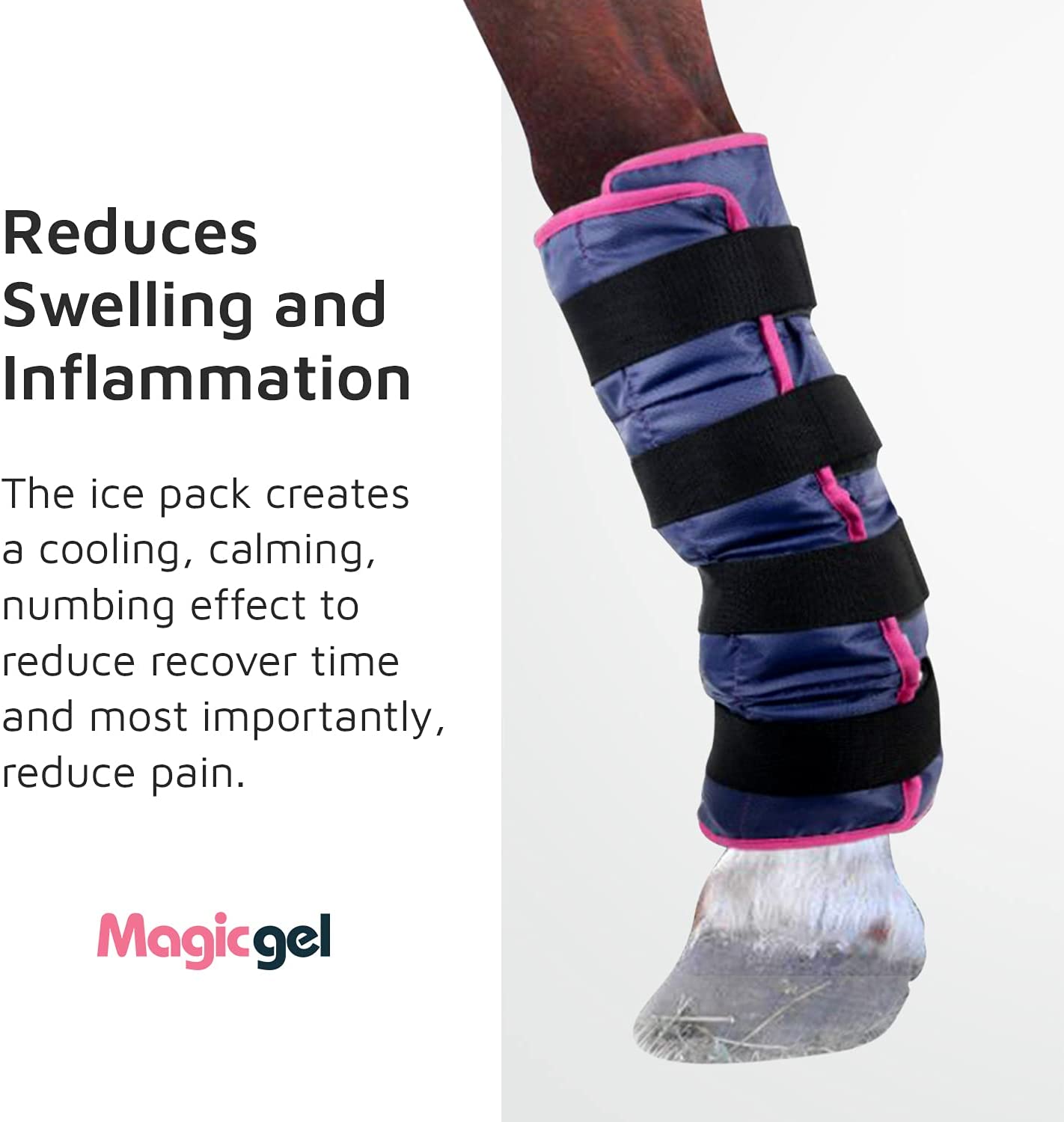 Premium Leg Ice Pack for Horses