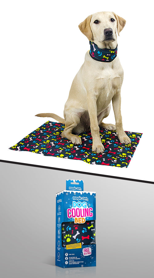 Ice Packs for Cats and Dogs
